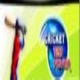 Dwonload cricket t20 fever HD Cell Phone Game